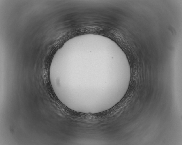 X0000113041109200909241428