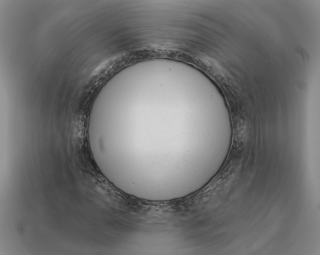 X0000113041110200909241428