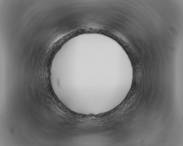 X0000113041112200909241428