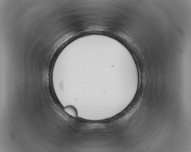 X0000113041113200909241428