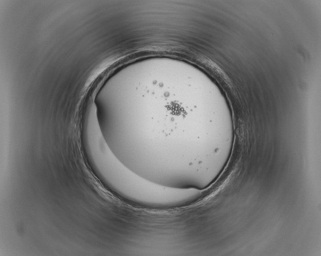 X0000113041114200909241428