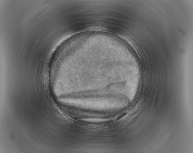X0000113041115200909241428