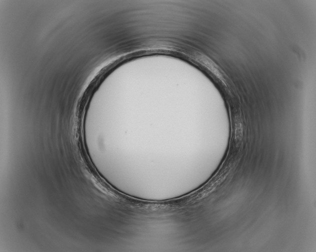 X0000113041116200909241428