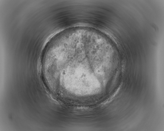 X0000113041117200909241428