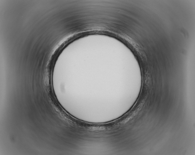 X0000113041118200909241428