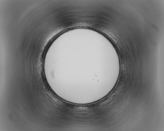 X0000113041119200909241428