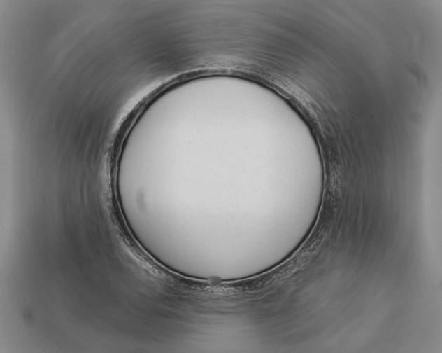 X0000113041120200909241428