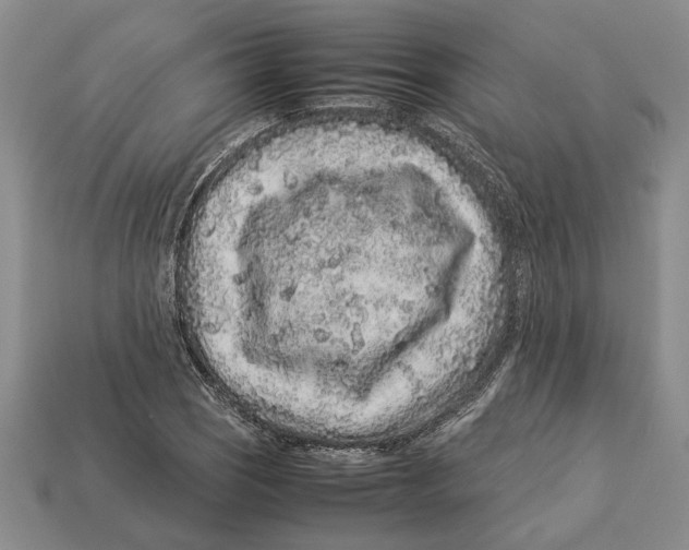 X0000113041121200909241429
