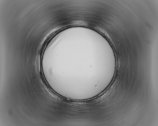X0000113041123200909241429