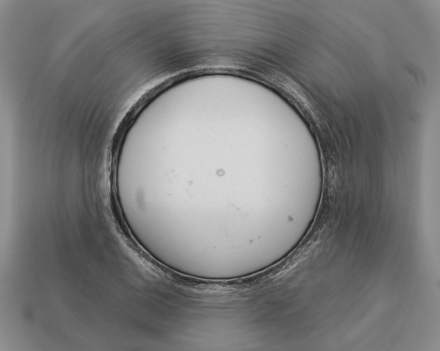 X0000113041124200909241429