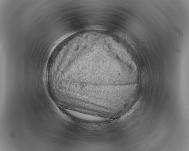 X0000113041125200909241429