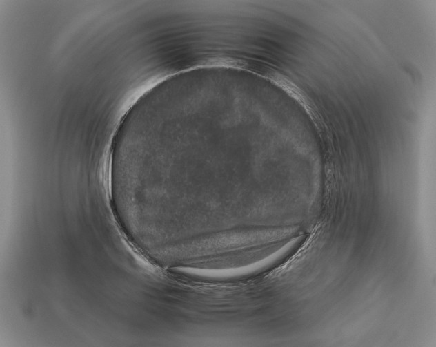 X0000113041127200909241429