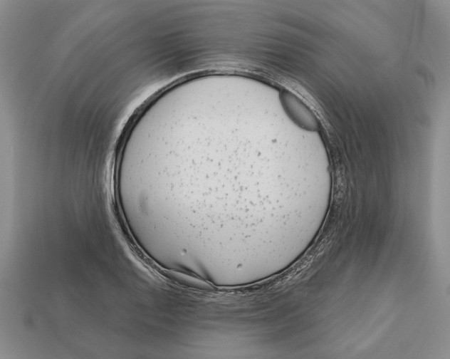 X0000113041128200909241429