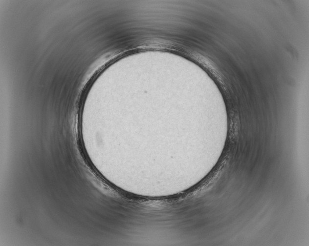 X0000113041130200909241429