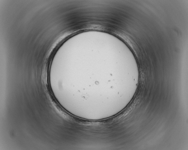 X0000113041131200909241429