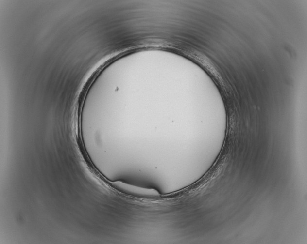 X0000113041132200909241429