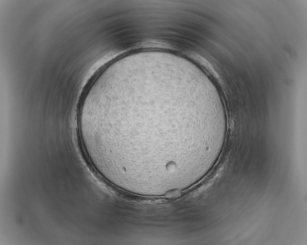 X0000113041133200909241429