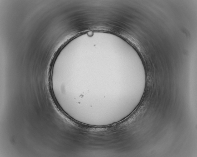 X0000113041135200909241429