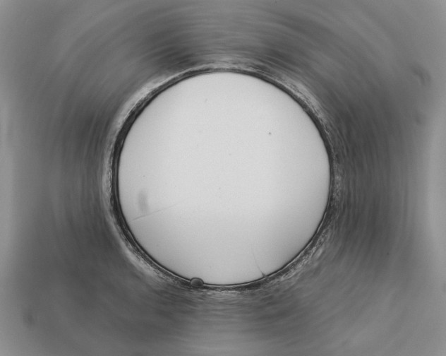 X0000113041136200909241429