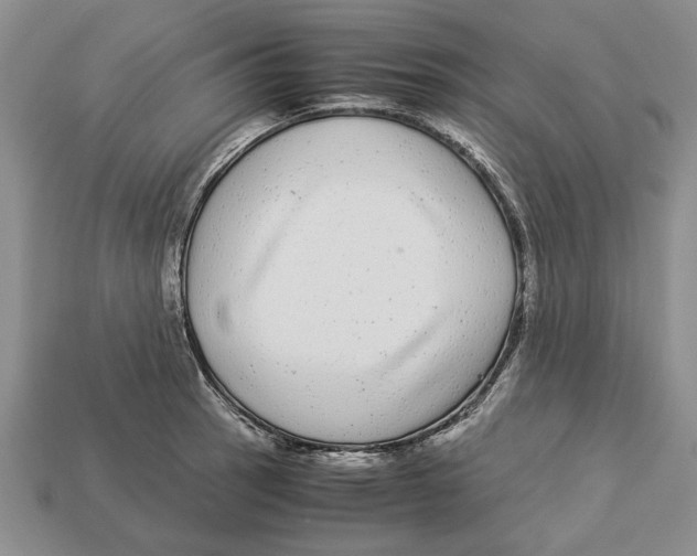 X0000113041137200909241429
