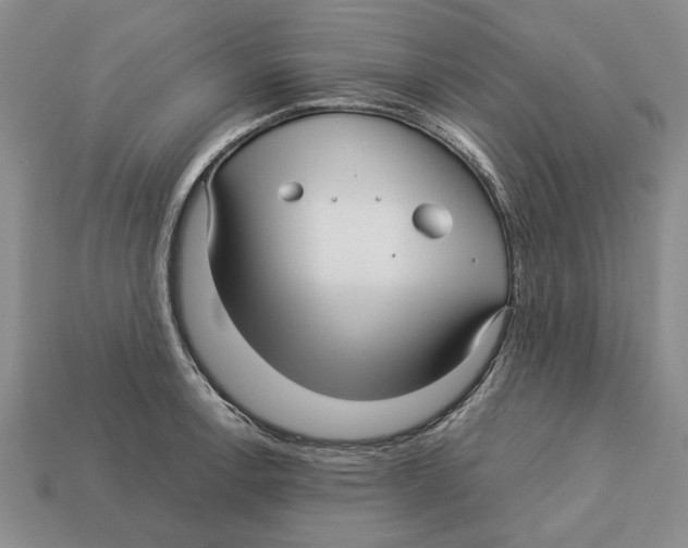 X0000113041138200909241429