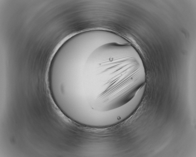 X0000113041140200909241429