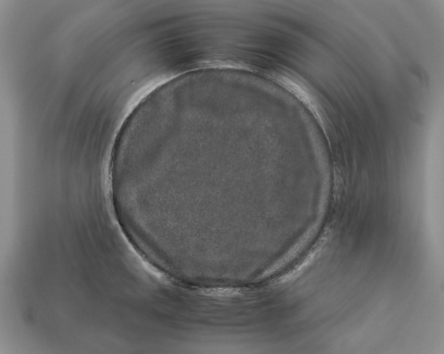 X0000113041141200909241429