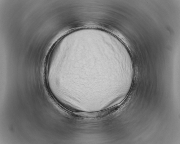 X0000113041142200909241429