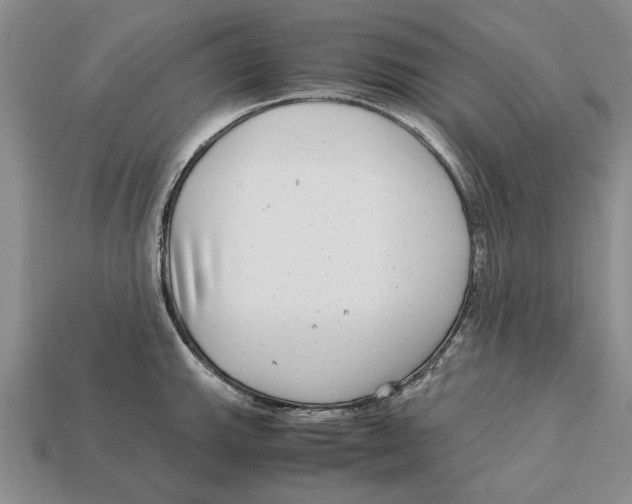 X0000113041143200909241429