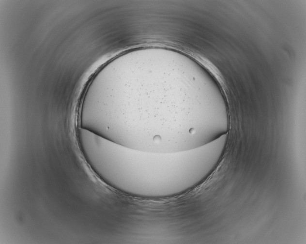 X0000113041144200909241429