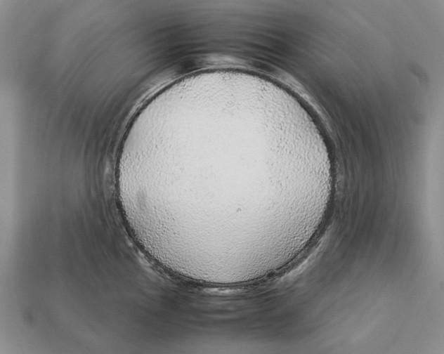 X0000113041145200909241429