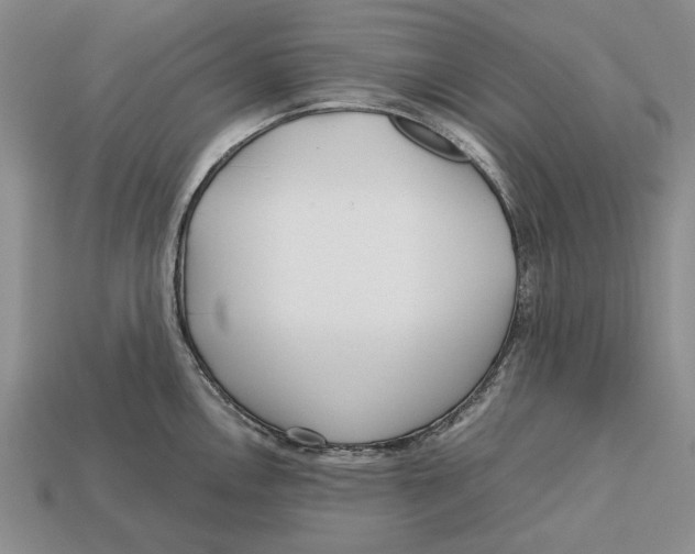 X0000113041146200909241429