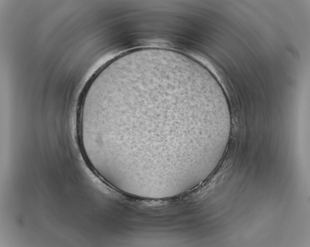 X0000113041147200909241429