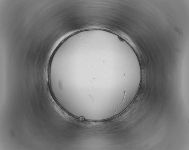 X0000113041148200909241429