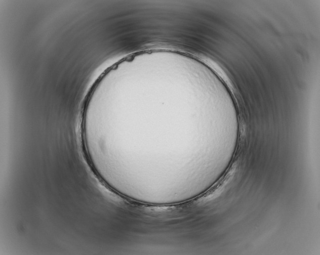 X0000113041149200909241429