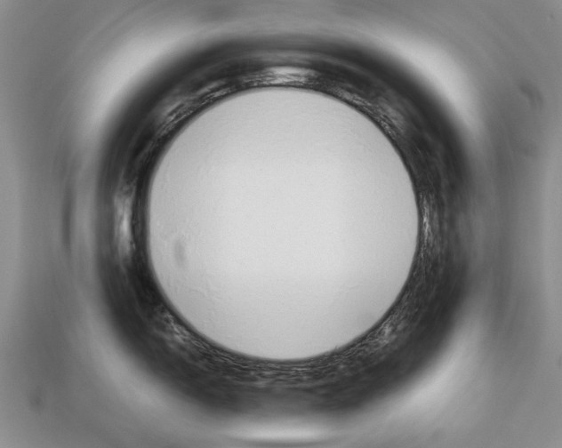X0000113041150200909241429