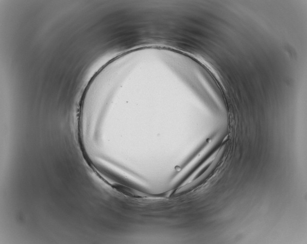 X0000113041151200909241429
