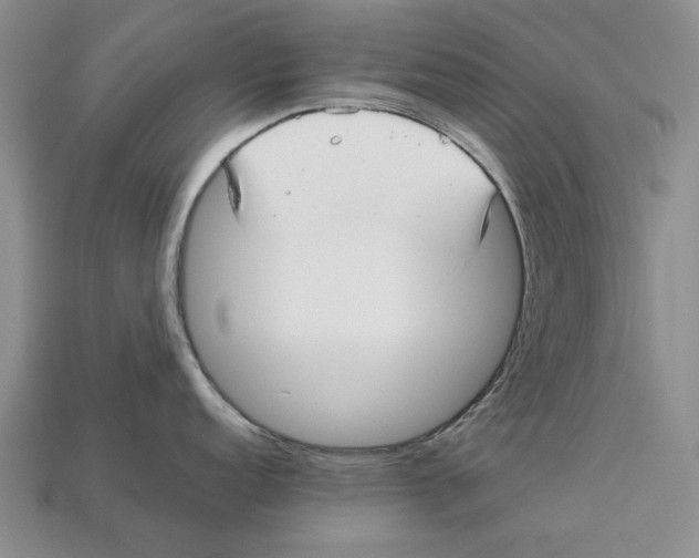 X0000113041152200909241429