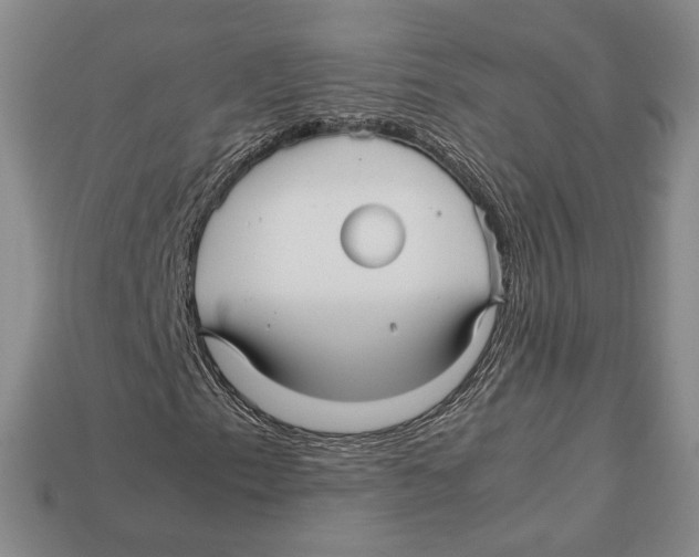 X0000113041153200909241428