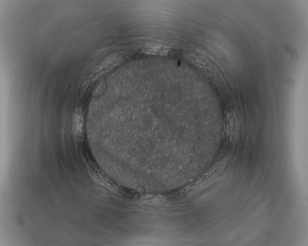 X0000113041154200909241428