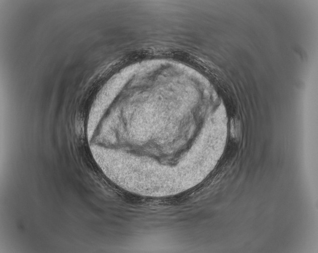 X0000113041155200909241428