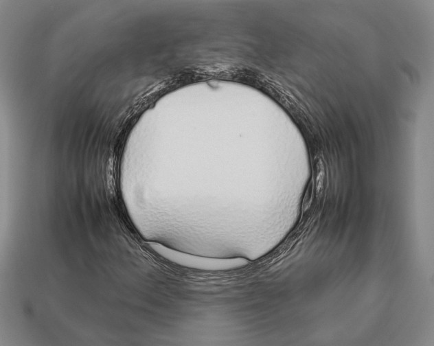 X0000113041156200909241428