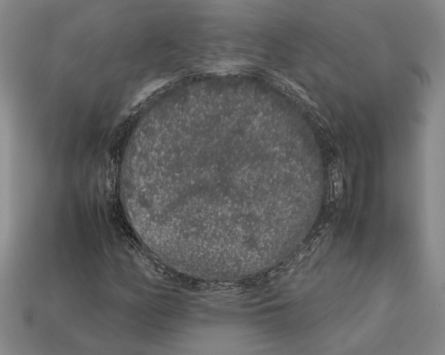 X0000113041158200909241428
