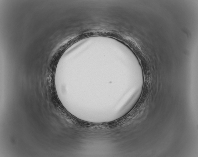 X0000113041159200909241428