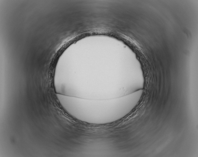 X0000113041160200909241428