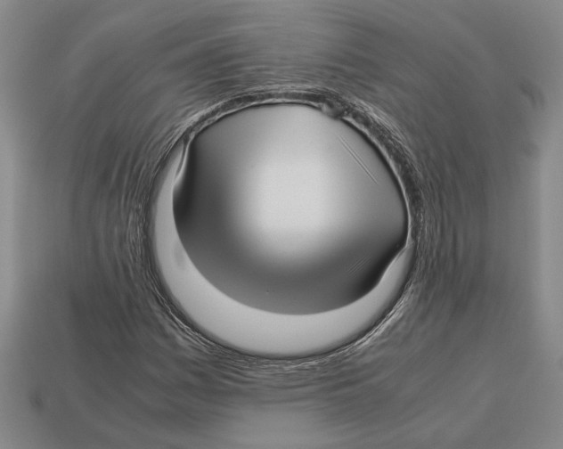 X0000113041161200909241428