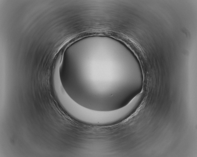 X0000113041162200909241428