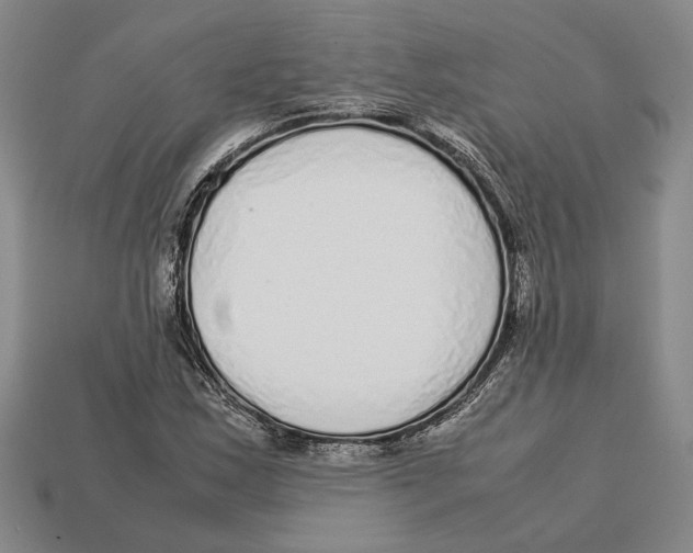 X0000113041163200909241428