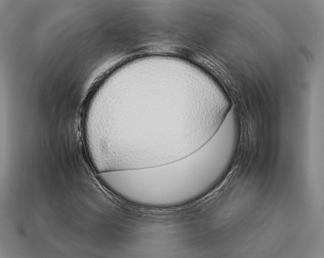 X0000113041164200909241428