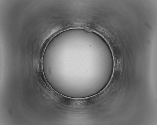 X0000113041165200909241428